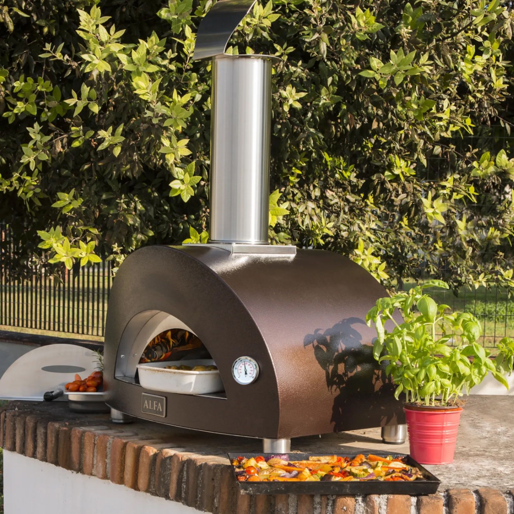 Odoo image et bloc de texte